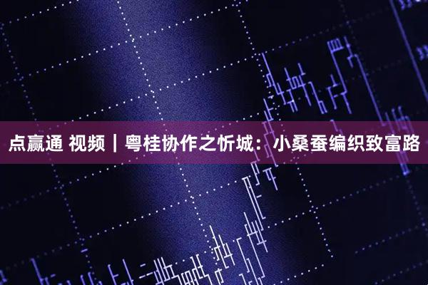 点赢通 视频｜粤桂协作之忻城：小桑蚕编织致富路