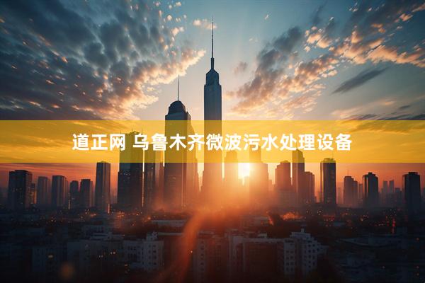 道正网 乌鲁木齐微波污水处理设备