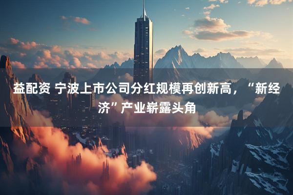 益配资 宁波上市公司分红规模再创新高，“新经济”产业崭露头角